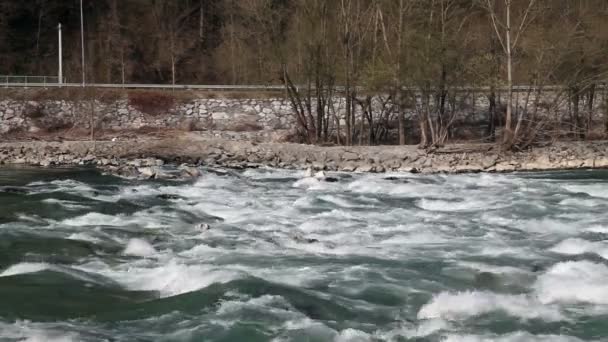 Shot van de rivier de stroomversnellingen en kust — Stockvideo