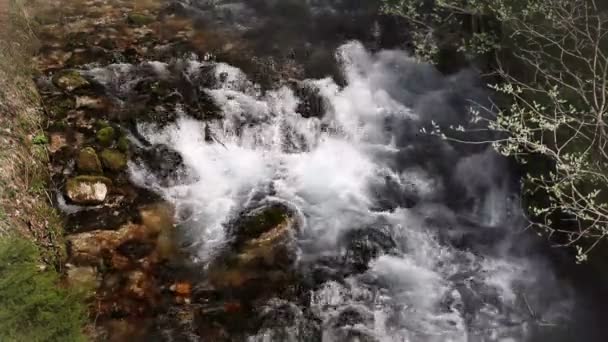 Fortfarande skott av en river rapids — Stockvideo