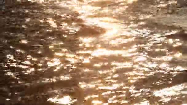 Réflexion solaire sur les vagues 