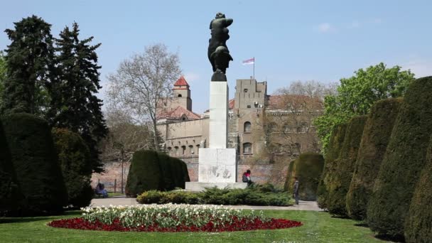 Shot van een staute met Servische vlag — Stockvideo