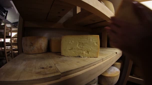 Seasoning cheese — Stock Video