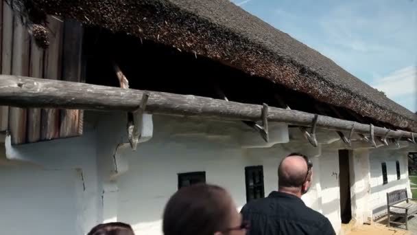 Tiro de um grupo de jovens que visitam uma fazenda antiga, mas muito preservada — Vídeo de Stock