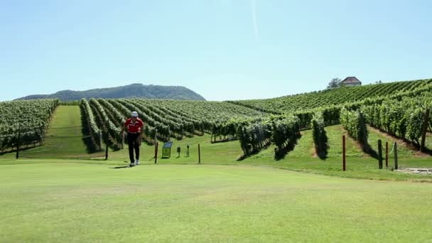 Tiro de uma mulher golfista — Vídeo de Stock