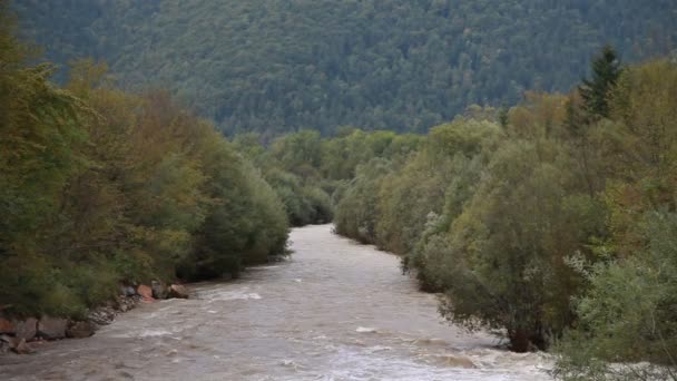 Vue sur la rivière dans le bois — Video