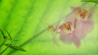 soyut Yağlıboya Resim, hareketli çiçek