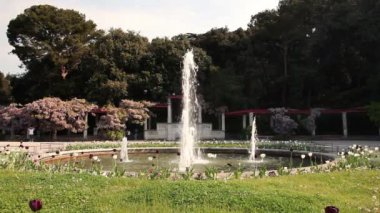 castle park sourrounded bazı ağaçlar ve çiçekler ile çeşme panoramik çekim içinde arka plan