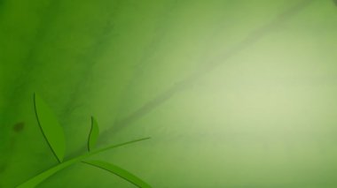 pembe çiçeği ile animasyonlu yeşil çiçek