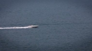 sürat teknesi ön odak dışı bazı bitkiler ile plaja yakın passing shot