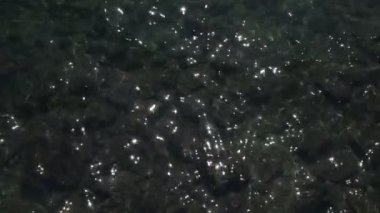 Atış su yüzeyinin