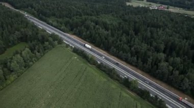 Yolun ortasında orman