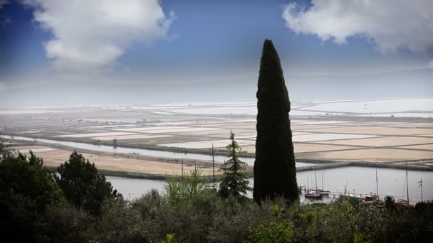 Panorâmica tiro de salinas Secovlje na Eslovénia com algumas plantas e cipreste na frente — Vídeo de Stock