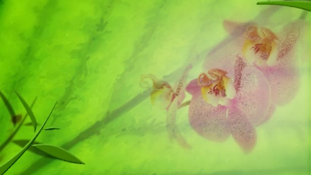 Animierte Blumen in einem abstrakten Ölgemälde — Stockvideo