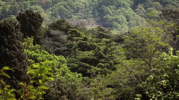 Tepenin diğer tarafında yapılan Demirhanede panoramik çekim — Stok video