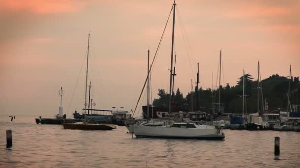 Schot van zeilboten gedokt in de haven van portorose tijdens de zonsondergang — Stockvideo