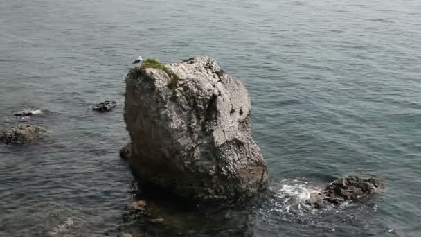 Záběr velký kámen v moři u pobřeží — Stock video