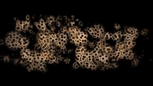 Animation de microbes en croissance et en mouvement — Video