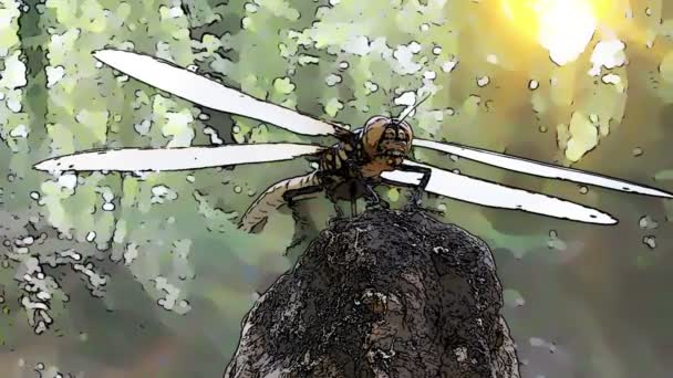 Dragonfly op een steen met toegevoegde cartoon ingang — Stockvideo