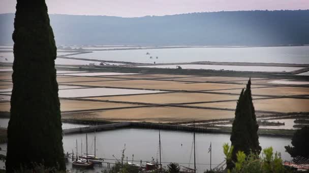 Girato delle famose saline Secovlje in Slovenia con alcune conifere nella parte anteriore — Video Stock