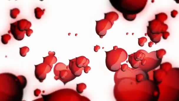 Cuori rossi galleggianti su sfondo bianco animazione per San Valentino — Video Stock