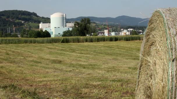 Strzał człowieka Śmieszne miny a chowając się za stóg siana — Wideo stockowe