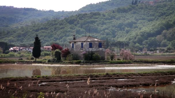 Schot van het oude huis in het nationaal park secovlje-Slovenië — Stockvideo