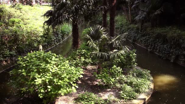 Vue du jardin 