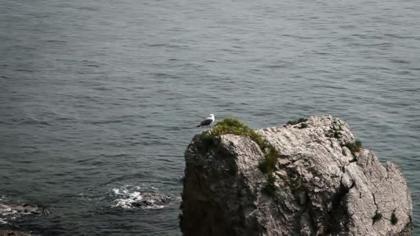 Tournage du gros rocher dans la mer — Video