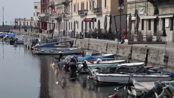 Tiro de um velho canal marítimo em Trieste cheio de barcos — Vídeo de Stock