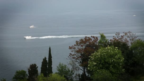 Prise de vue des hors-bord passant par la mer, avec quelques arbres devant — Video