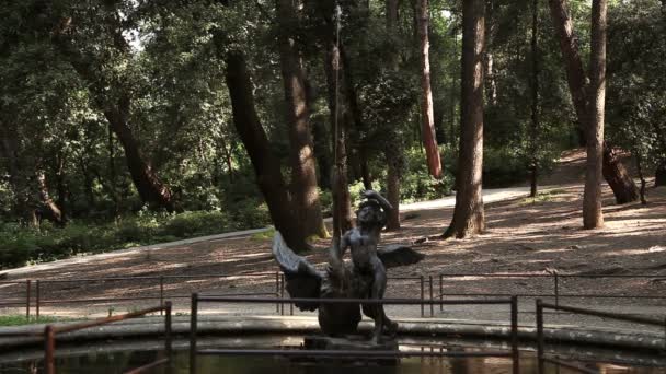 Aufnahme einer Statue im Wald in Wassernähe — Stockvideo