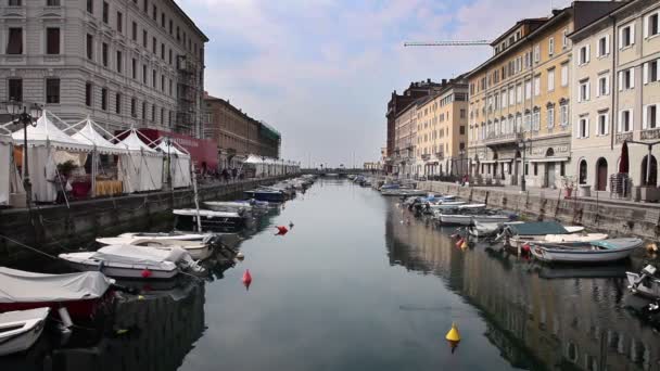 Tiro de canal do mar em Trieste cheio de barcos — Vídeo de Stock