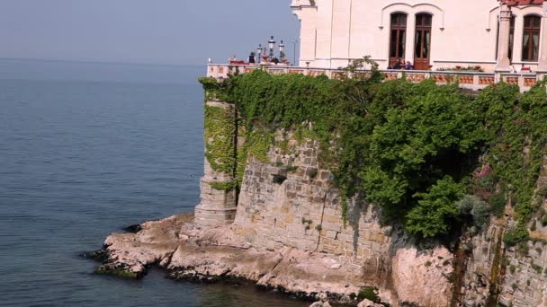 Aufnahme der Burg auf dem mit Efeu bewachsenen Felsen — Stockvideo