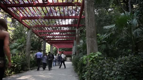 Aufnahme der verschiedenen Personen, die im Park spazieren und laufen — Stockvideo