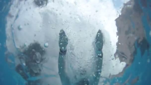 Plavání pod vodou. — Stock video