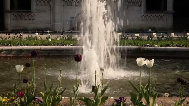 Skott av den fina fontänen sourrounded med blommor — Stockvideo