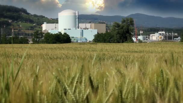 Shot of grain field with factory in the back — Stock Video