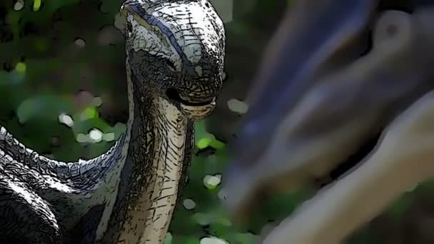 Efeito de desenho animado em dinossauros com foco em mudança — Vídeo de Stock