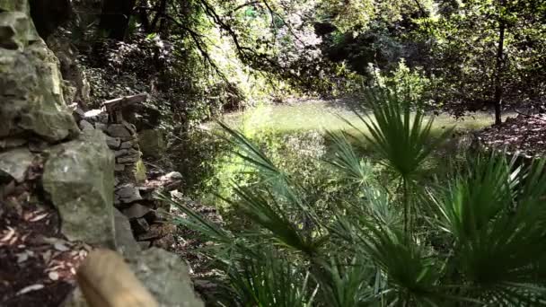 Tournage de l'étang litlle dans le parc — Video