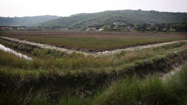 Oude, overwoekerd deel van salinas secovlje-Slovenië — Stockvideo