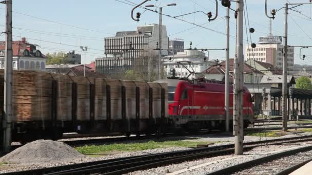 Zug mit vielen vorbeifahrenden Waggons — Stockvideo