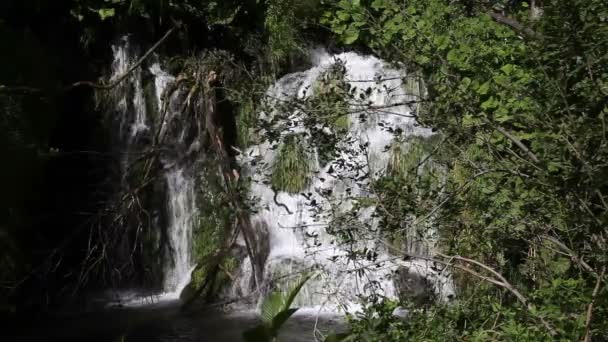 Красивый пейзаж Плитвицкого национального парка — стоковое видео
