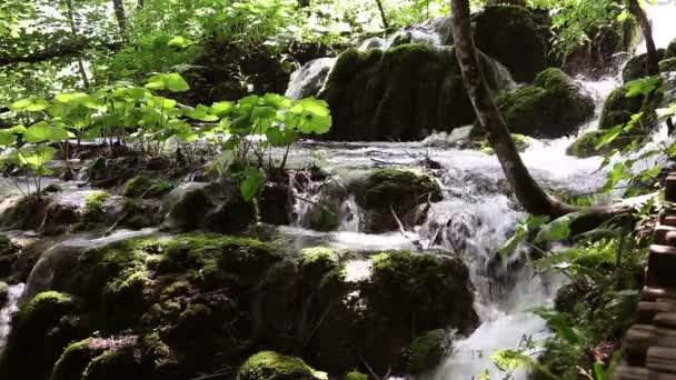小瀑布 — 图库视频影像
