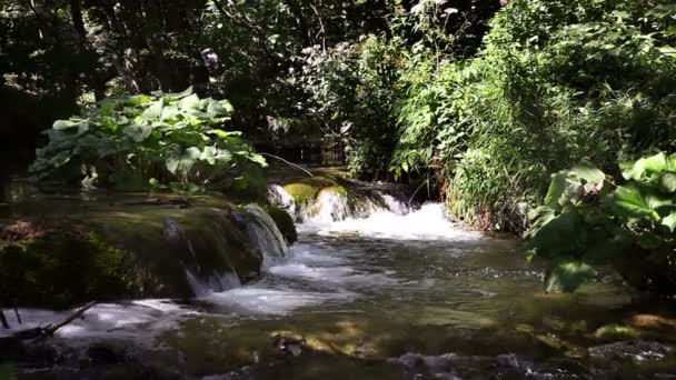 Cachoeira na floresta — Vídeo de Stock