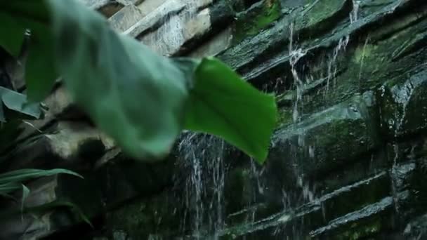 Waterval — Stockvideo