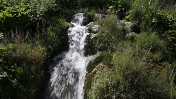 Pequeña cascada en el parque nacional — Vídeos de Stock