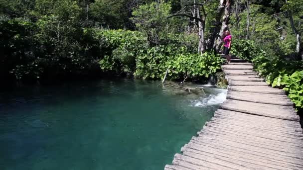 Aufnahme eines Touristen, der auf einem Pfad durch einen Park geht — Stockvideo