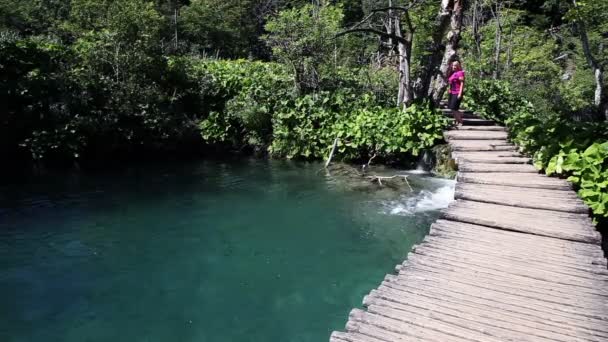 Strzał turystów, którzy chodzą na drodze przez park — Wideo stockowe