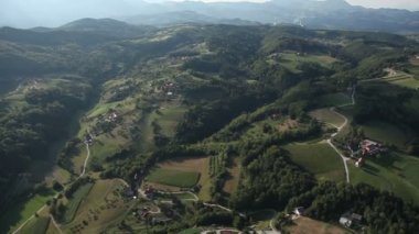 Shot bir yeşil orman