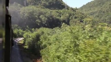 Yatay, at arabası Bunun yansıması ile geçen trenin Shot