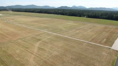 panorama slayt küçük uçak veya helikopter ile orman için kalkış yolu temsil eden helikopterden ateş